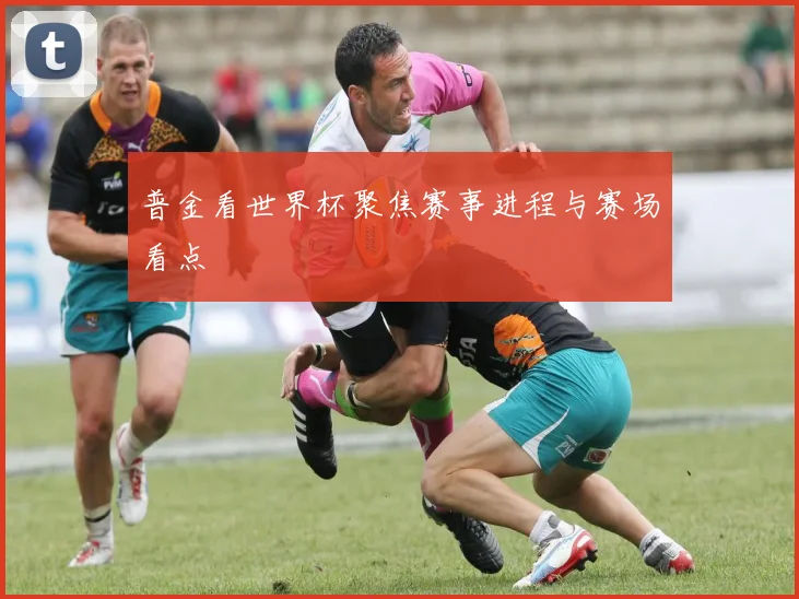 普金看世界杯聚焦赛事进程与赛场看点