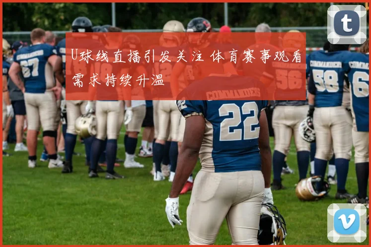 U球线直播引发关注 体育赛事观看需求持续升温