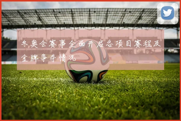 冬奥会赛事全面开启各项目赛程及金牌争夺情况